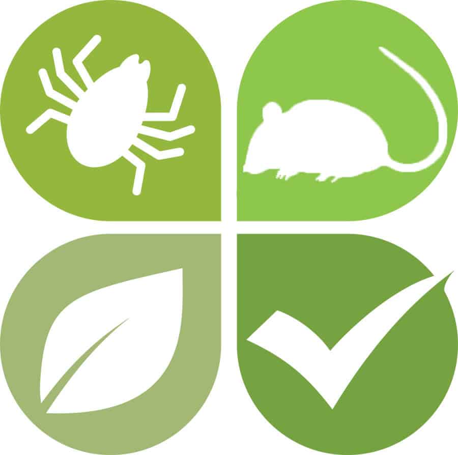 residential pest control 