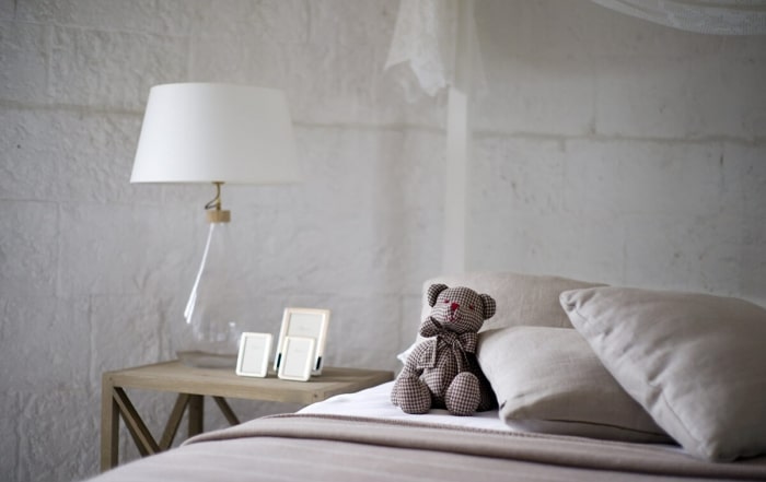 natural bed bug treatments