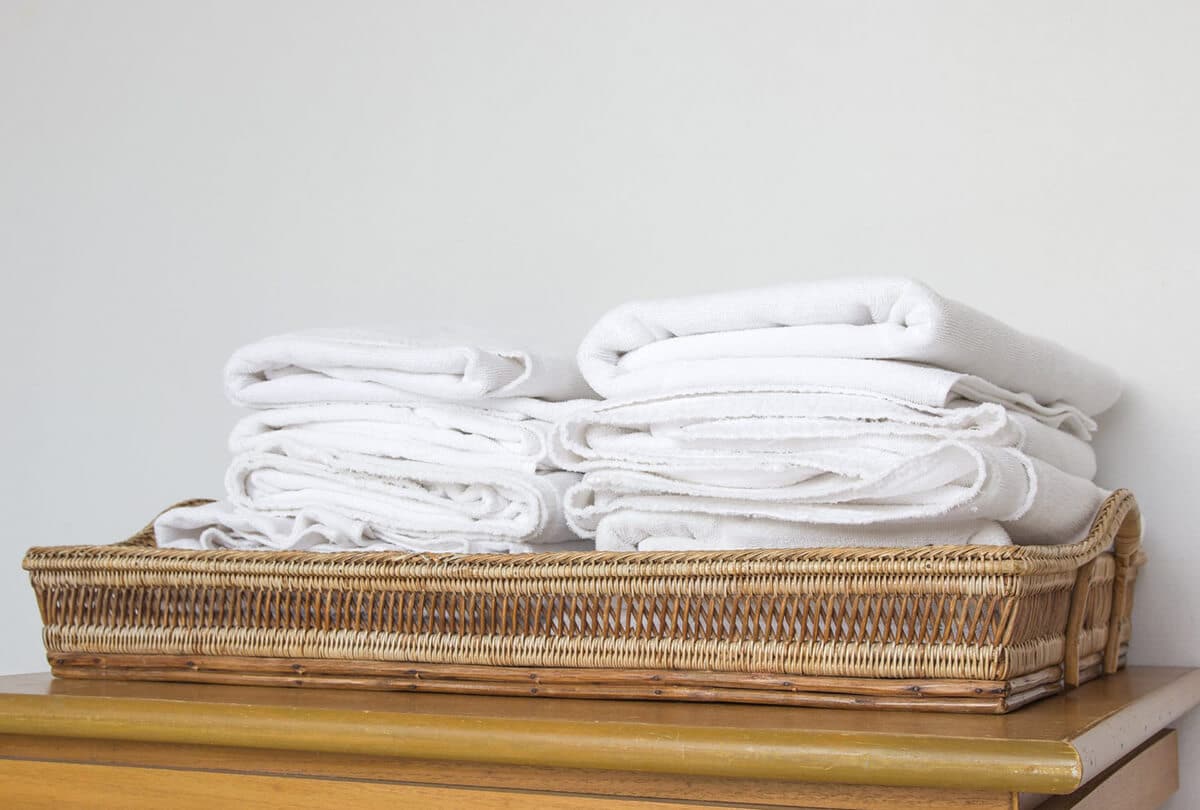 Solution-Pest-Control-Bed-bugs-treatment-laundry-1200×810-a