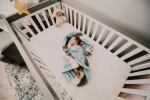 cribs bed bugs 