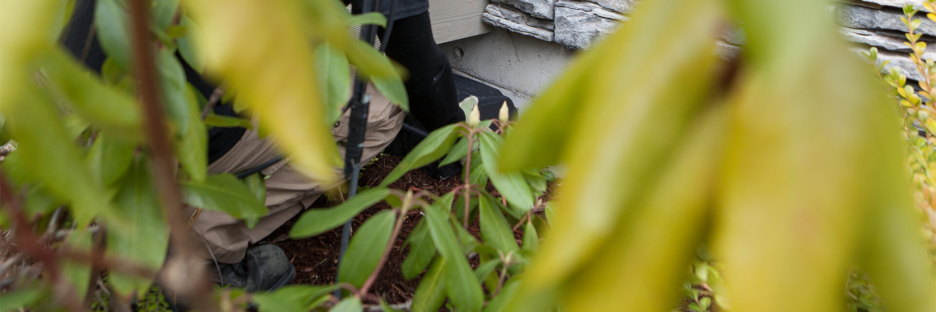 Pest control trap outside commercial building Solutions Pest Control installing pest traps outside commercial building