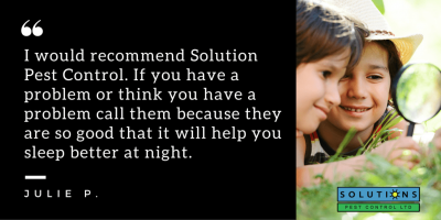 north vancouver pest control testimonial black image