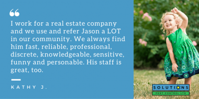 pest control vancouver testimonials from M P. with image“ width=