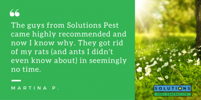 testimonial from Martina P. with green image“ /></noscript></a></div>
<p>With Solutions Pest Control, you won’t for long. We use state-of-the-art technology and IPM (Integrated Pest Management) treatments to handle all your pest problems. Our trained exterminators will diagnose your issue and provide you with the best possible pest control options, helping you take back your West Vancouver home or business. We offer a host of pest control services, including:</p>
<ul>
<li><a title=