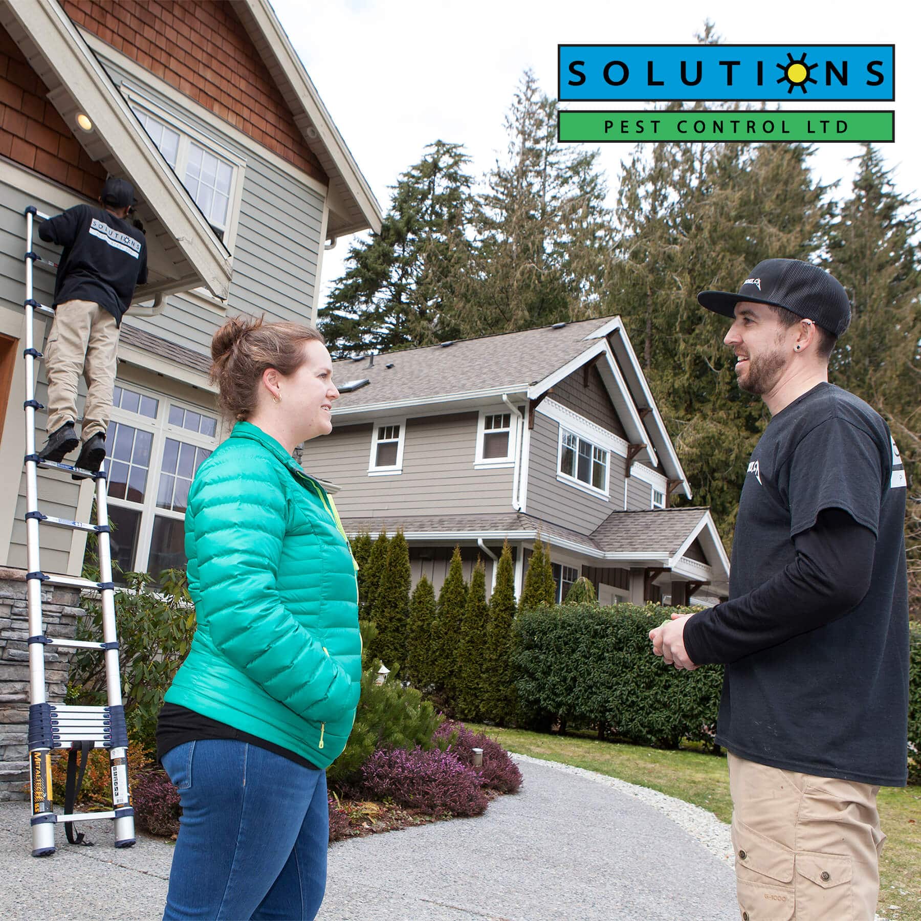 Pest Control Vancouver North Shore Squamish Whistler Solutions Pest Control